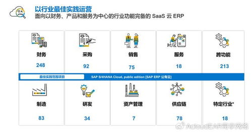 有喜企业ERP 借力SAP ERP公有云，引领新能源企业数字化成功转型之路